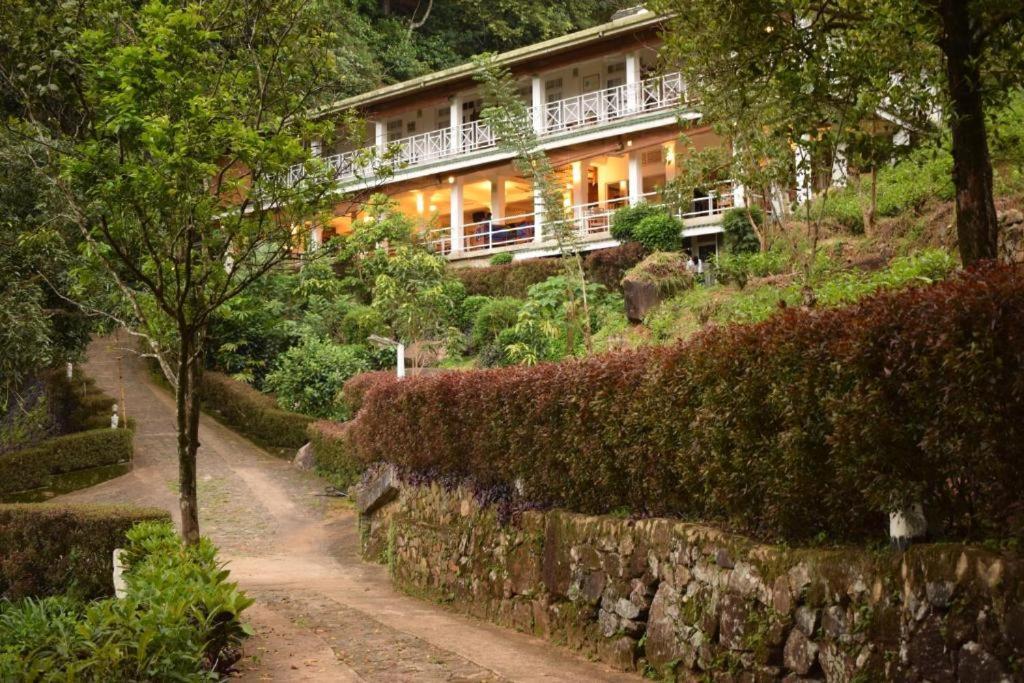 Forest Edge Hotel Ginigathena Extérieur photo